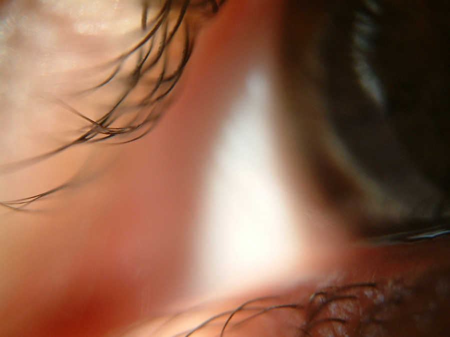 Photo_0003925