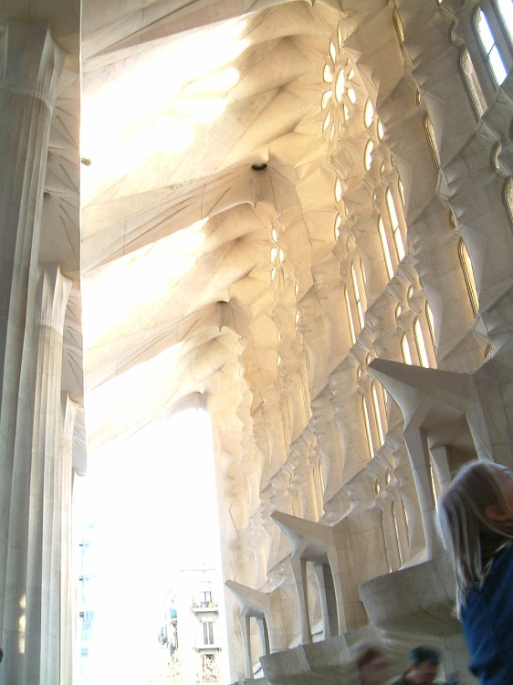 Photo_0003940