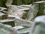 Photo_0003984