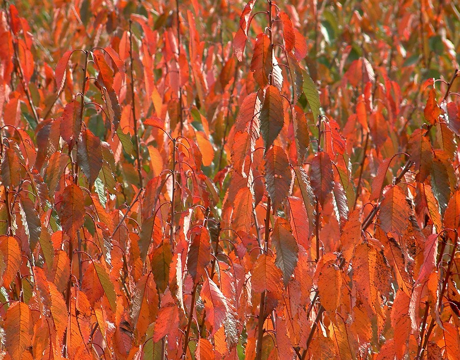 Photo_0013956