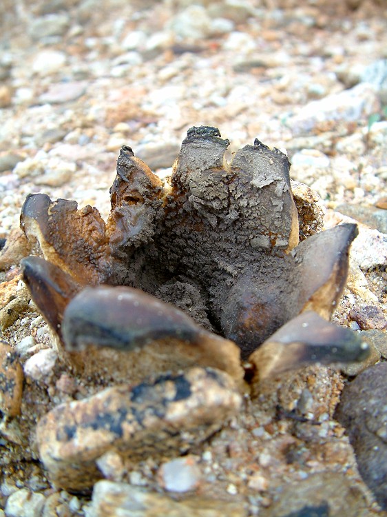 Photo_0013967