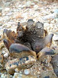 Photo_0013967