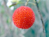 Photo_0013972