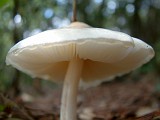 Photo_0013981