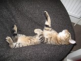Photo_0074692_Canon_G10
