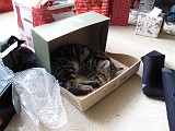 Photo_0063808_Canon_G10