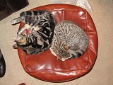 Photo_0063813_Canon_G10