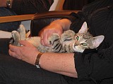 Photo_0063937_Canon_G10