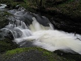 Photo_0076747_Canon_G10