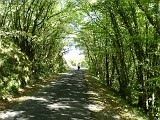 Photo_0033383_Sony_dsc-w1