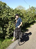 Photo_0033387_Sony_dsc-w1