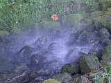 Photo_0033791_fuji_s9500