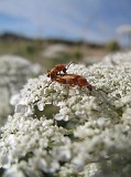 Photo_0068860_Canon_G10