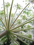 Photo_0069742_Canon_G10