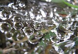 Photo_0069755_Canon_G10