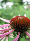 Photo_0069892_Canon_G10