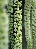 Photo_0069896_Canon_G10
