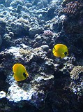 Photo_0080344_Canon_G12