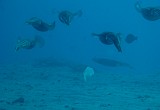 Photo_0080667d_Canon_G12