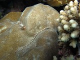 Photo_0080872_Canon_G12