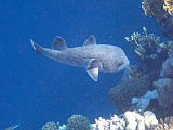Photo_0081143_Canon_G12