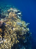 Photo_0081189_Canon_G12