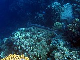 Photo_0081193_Canon_G12
