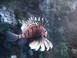 Photo_0081259_Canon_G12