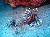 Photo_0082051_Canon_G12