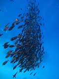 Photo_0082365_Canon_G12
