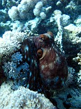 Photo_0082522_Canon_G12