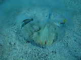 Photo_0080655_Canon_G12