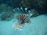 Photo_0081101_Canon_G12