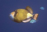 Photo_0081173_Canon_G12