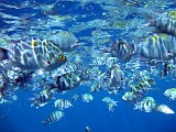 Photo_0081773_Canon_G12