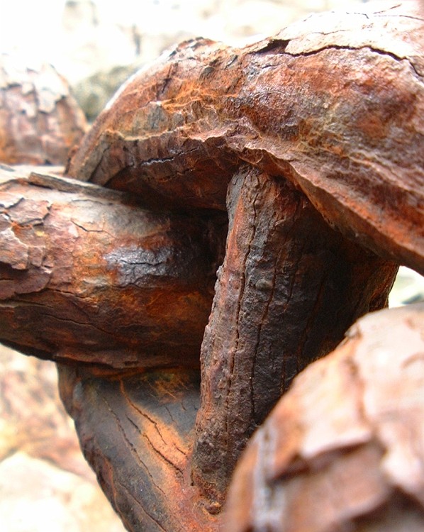 APhoto_0003832
