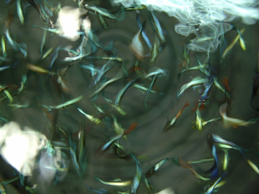 Photo_0004678