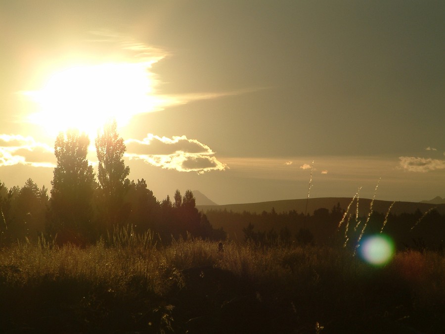Photo_0008585