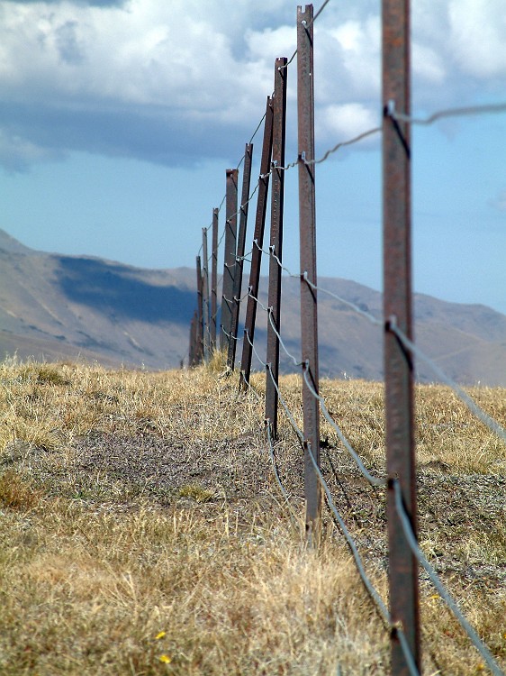 Photo_0008677