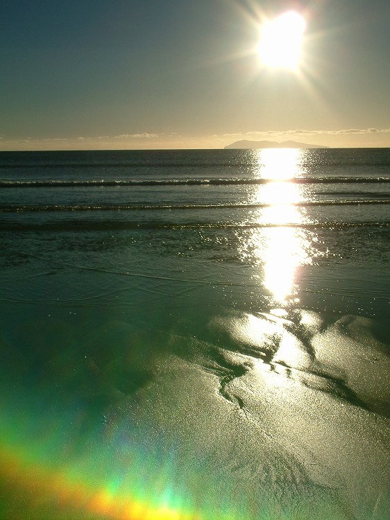 Photo_0010391