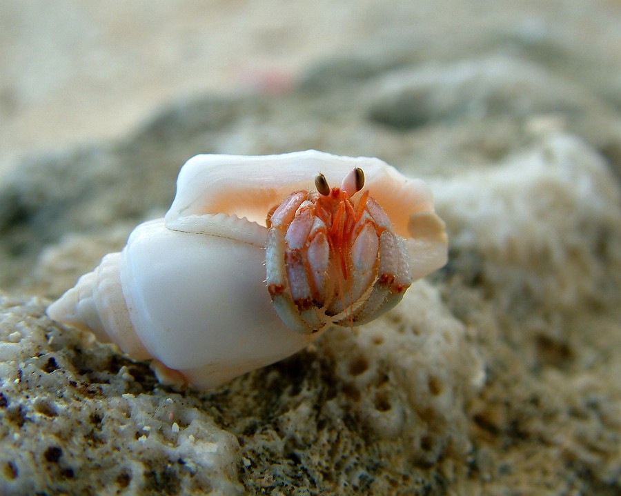 Photo_0010780