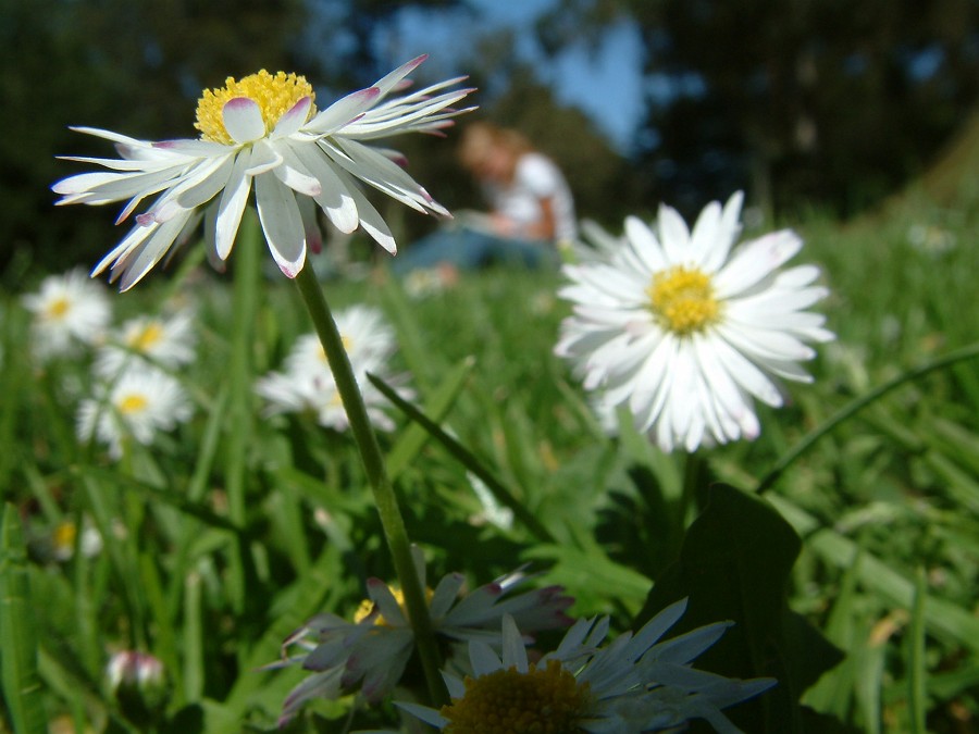 Photo_0011169