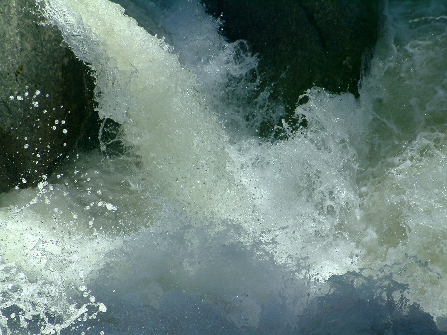 Photo_0011233