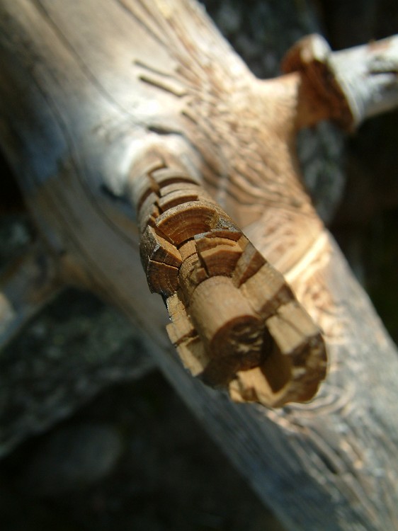 Photo_0011360