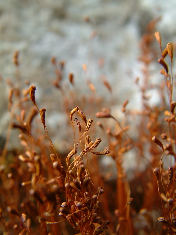 Photo_0012997