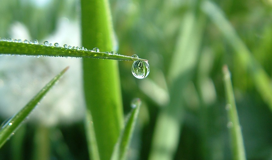 Photo_0015202