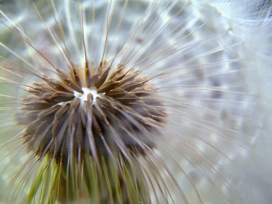 Photo_0015635