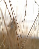 APhoto_0003801