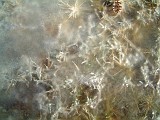 Photo_0000358