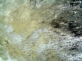 Photo_0001660